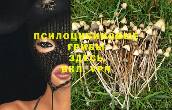 ПСИЛОЦИБИНОВЫЕ ГРИБЫ Алзамай