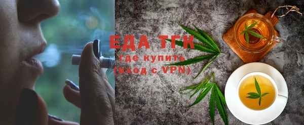 хмурый Алексин