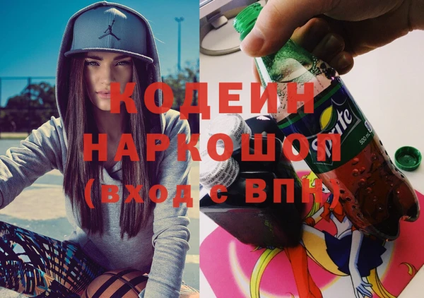 хмурый Алексин