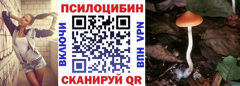 Псилоцибиновые грибы Magic Shrooms  Хадыженск 